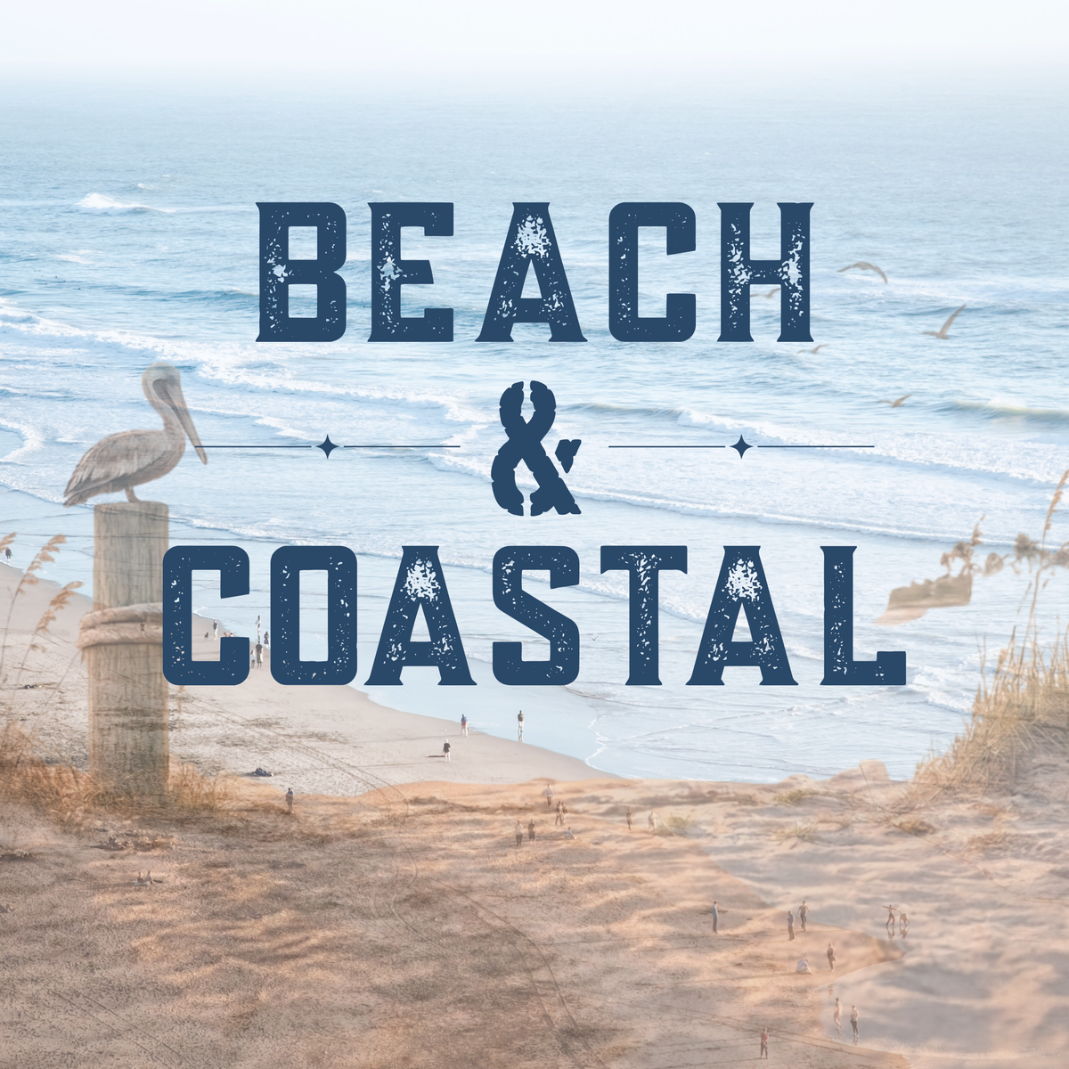 Beach and Coastal